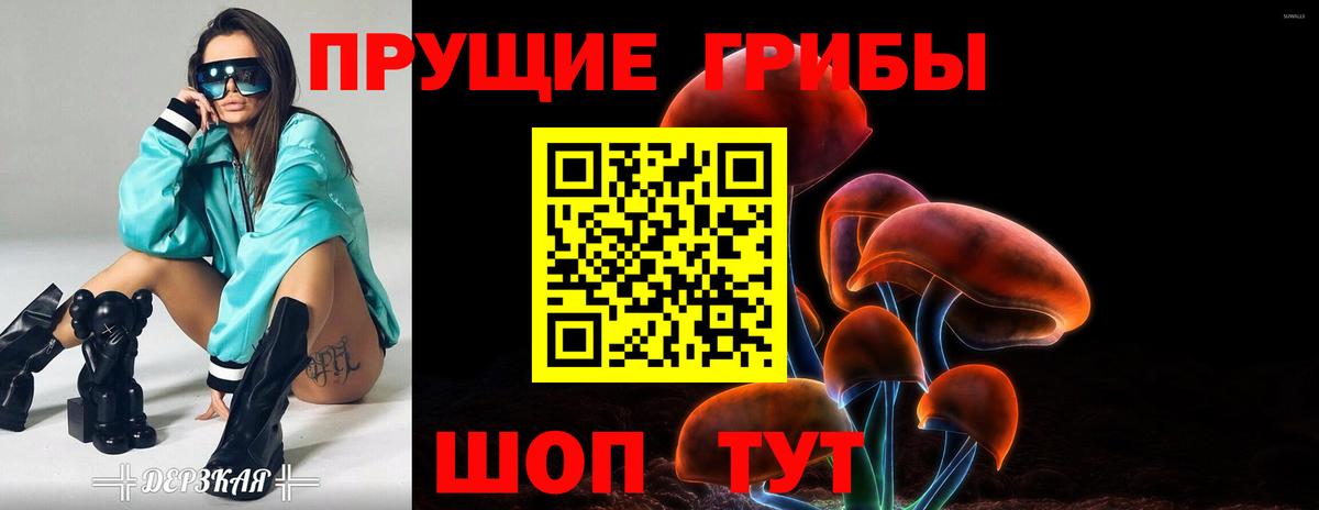 Галлюциногенные грибы прущие грибы Владимир