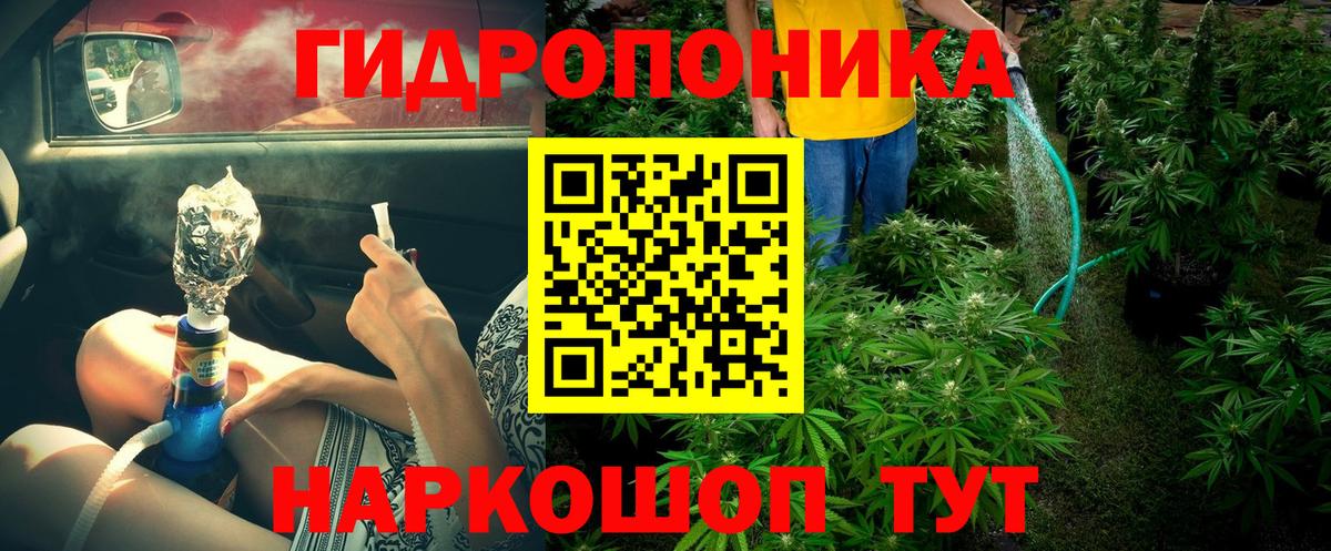Бошки Шишки марихуана Владимир